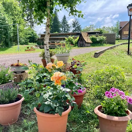 Waldhaus Gasthuis 3*