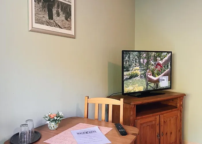 Waldhaus Pensjonat 3*